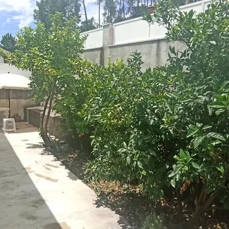 בית נופש Casa Machado